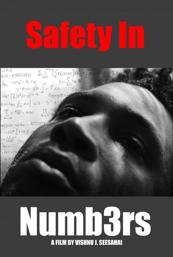 Safety In Numbers (2017) Poster US 1944*2880px